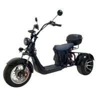 Электротрицикл GT Trike E30 PRO