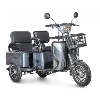 Электротрицикл Rutrike Gelbert Tuban 48V/60V 600Вт Серый